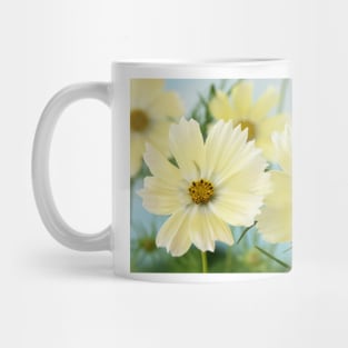 Cosmos bipinnatus  &#39;Lemonade&#39;  Cosmea  Mexican aster Mug